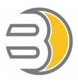 Buchert + Feil GmbH Logo
